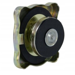 Radiatoriaus dangtelis c 330 c 385 84613912