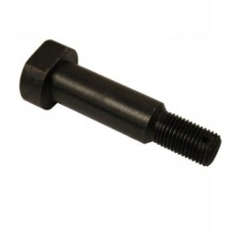 Variklio tvirtinimo varžtas t 25