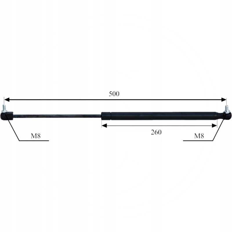 Durų dujinė spyruoklė 2xm8