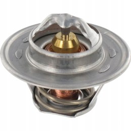 Termostatas mf 3637650m1 v836015156 836015156 79c