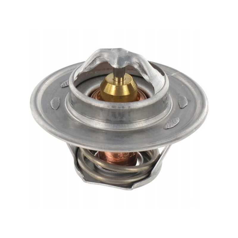 Termostatas mf 3637650m1 v836015156 836015156 79c