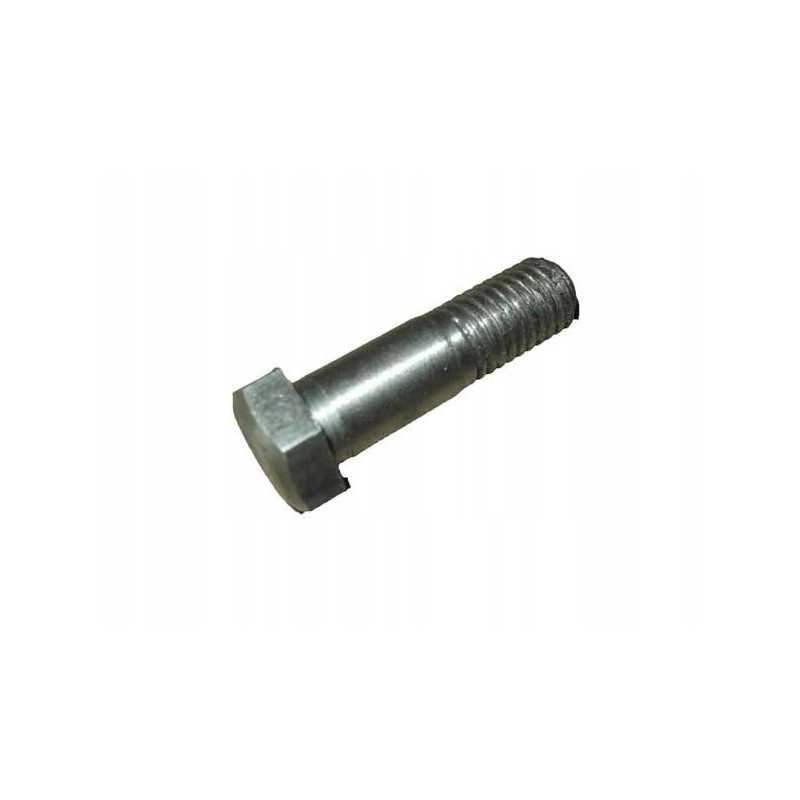 Galinio diferencialo varžtas mtz 501702092