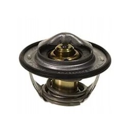 Case New Holland termostatas 87803070