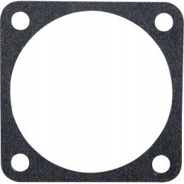 Kompresoriaus cilindro tarpiklis tinka c 330 c 3