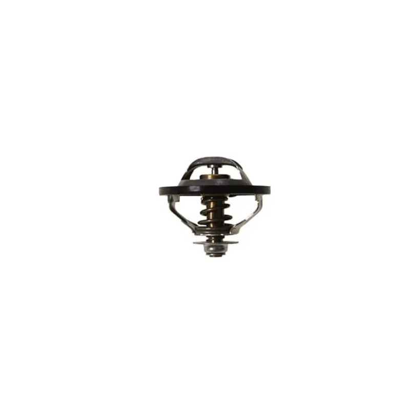 New Holland termostatas 504078966