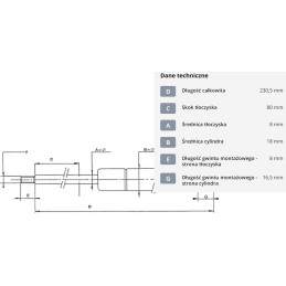Dujinė spyruoklė l230 5 mm 200n stabilus ca043109