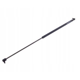 Galinio lango pavara l max 785mm 3389556m1p masė