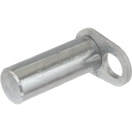 Krovinio kaištis 30 x 80 mm