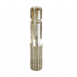 GTV galinis ursus c 385 80153251