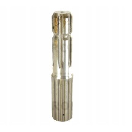 GTV galinis ursus c 385 80153251