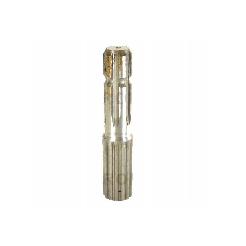 GTV galinis ursus c 385 80153251