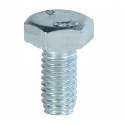 Stabdžių trinkelės varžtas m6x10 8 8 c 360 54210753