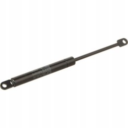 Dujinė spyruoklė l226 200n ca082430