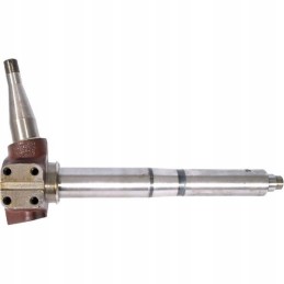 80271080n kairysis spyruoklinis snukis, Ursus