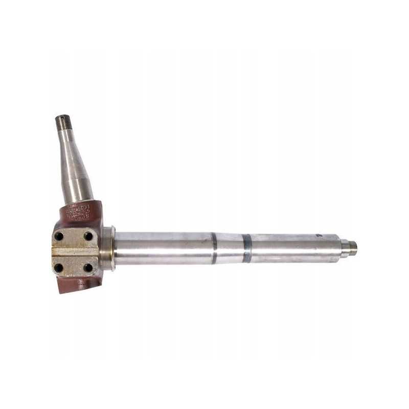80271080n kairysis spyruoklinis snukis, Ursus