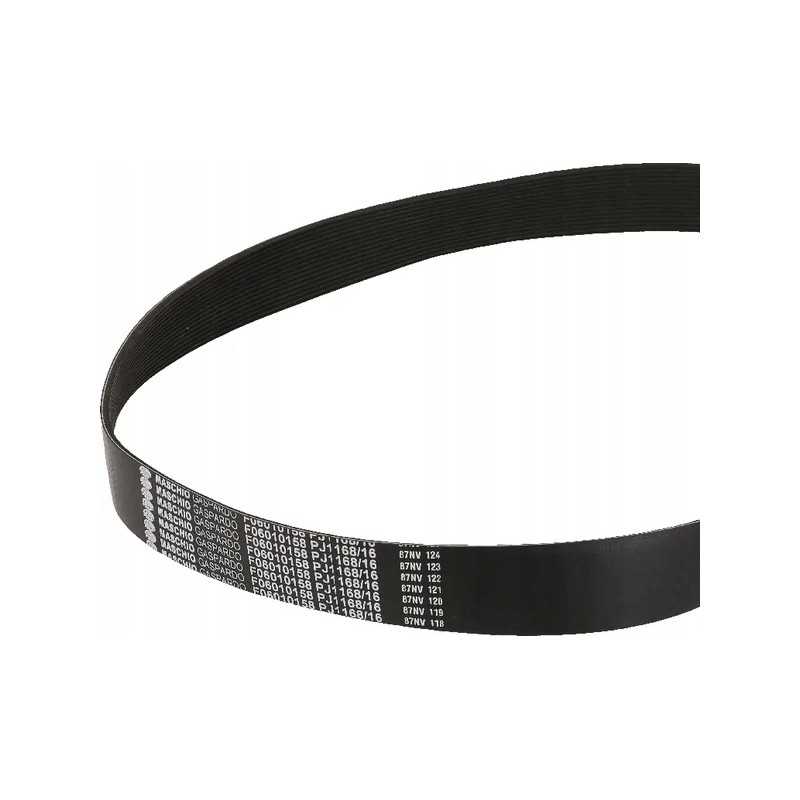 V formos dirzas 1168 j16 gaspardo