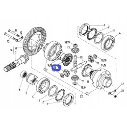 Žvaigždutės samanų diferencialas c 330m 50218130
