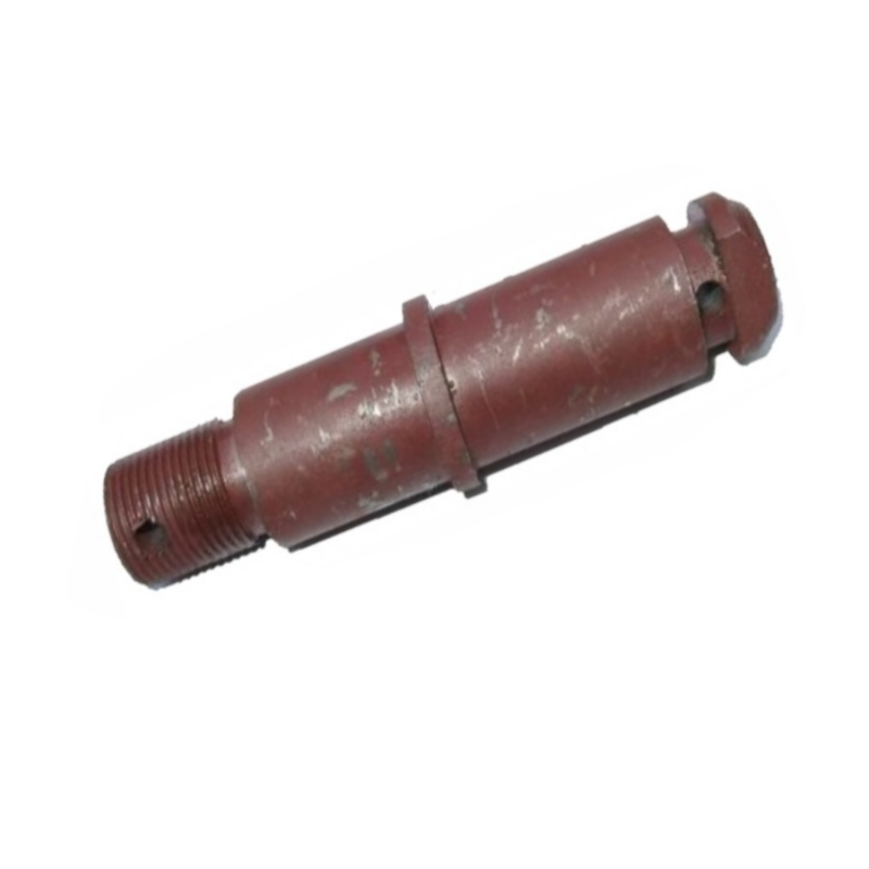 Sijos kaištis t 25 t25