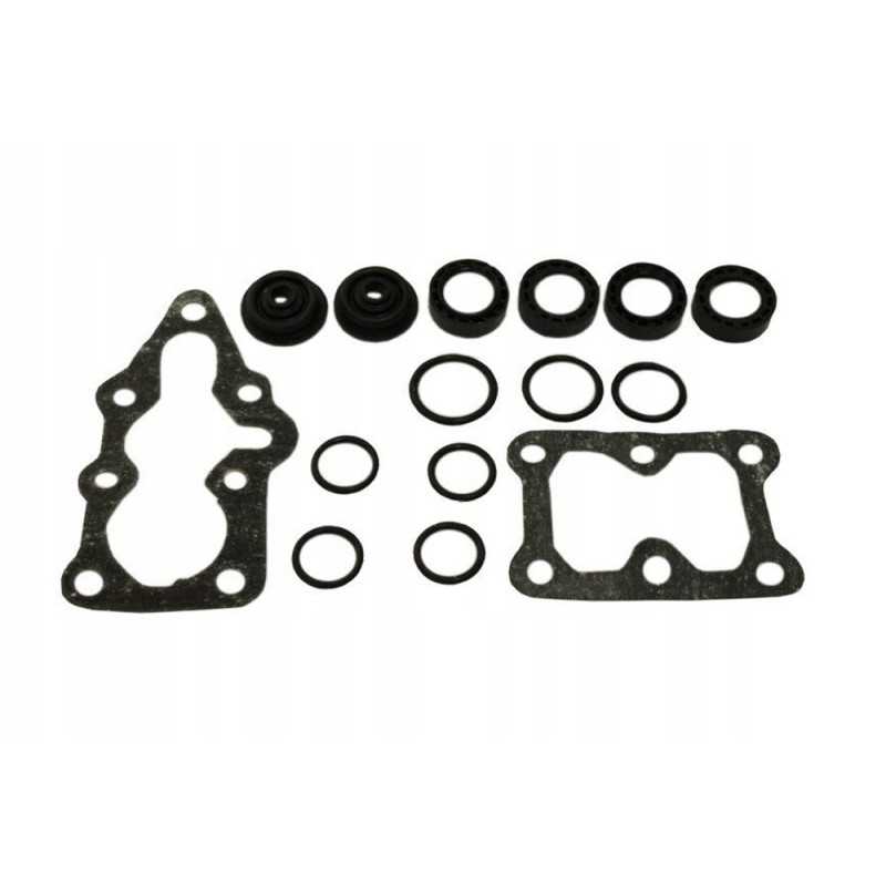 Skirstytuvo sandarikliai t 25 rinkinys r755