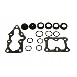 Skirstytuvo sandarikliai t 25 rinkinys r755