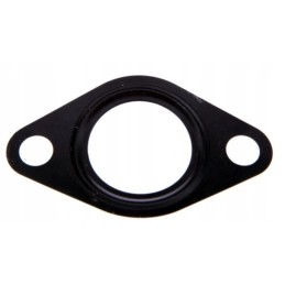 Išmetamųjų dujų keitiklio tarpiklis erg zetor 190030003