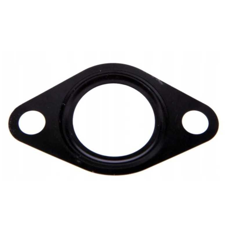 Išmetamųjų dujų keitiklio tarpiklis erg zetor 190030003