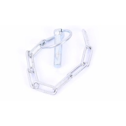 Sijos kaištis su grandine c360 c330