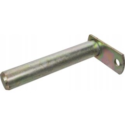 Apsauginis kaištis tinka ft2065