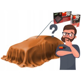 Alyvos filtras kn kn 148