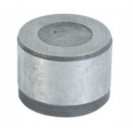 Kardaninio veleno guolis 30x106 5mm