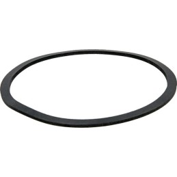 Servo filtro tarpinė Zetor 931155 Zetor
