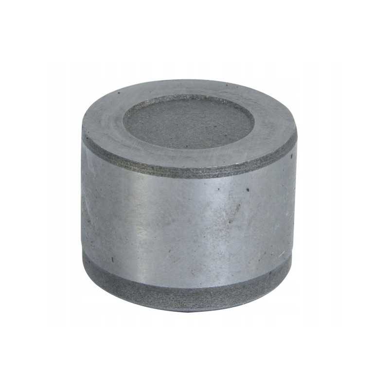 Kardaninio veleno guolis 35x106mm