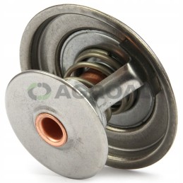 Termostatas zetor78005077 zetor proxima originalus