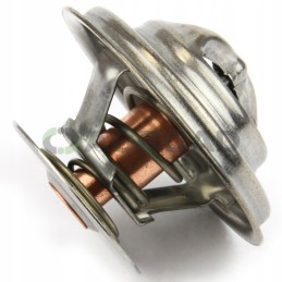 Termostatas zetor78005077 zetor proxima originalus