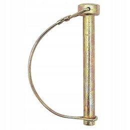 Vamzdžio apsauginis kaištis