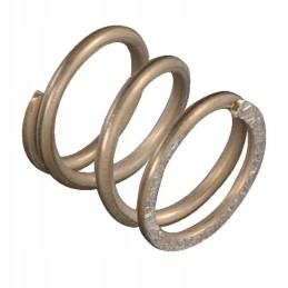 Stabdžių spyruoklė e04206asm kaip variklis