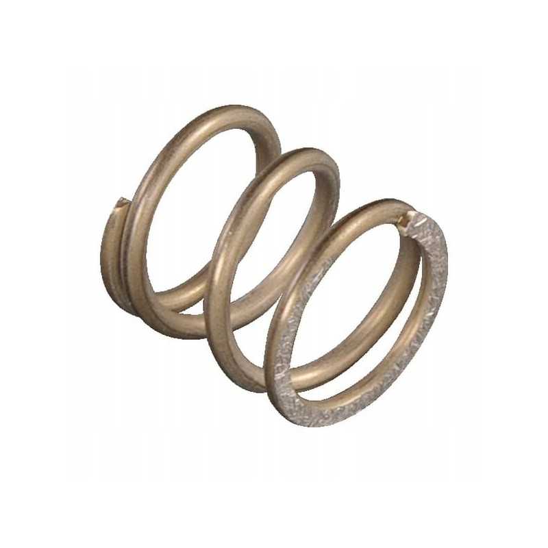 Stabdžių spyruoklė e04206asm kaip variklis