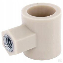 3025670497 Sraigės piršto stebulė