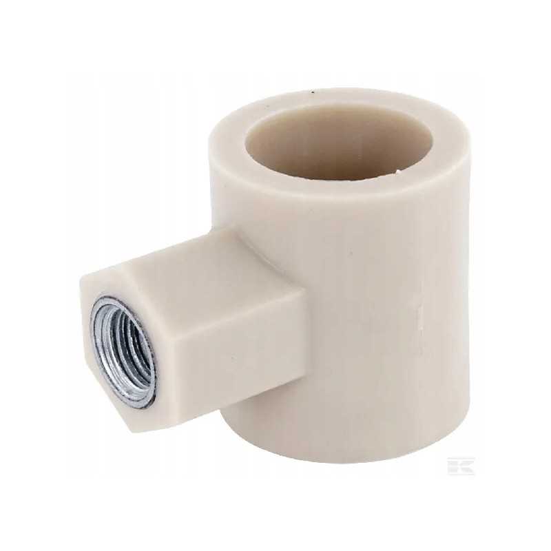 3025670497 Sraigės piršto stebulė