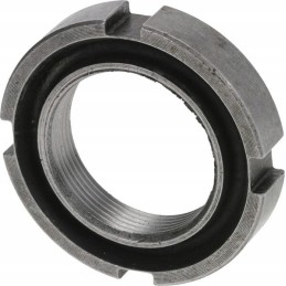 Riešutas 2824178m1n prieskonis dana