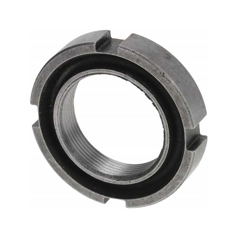 Riešutas 2824178m1n prieskonis dana