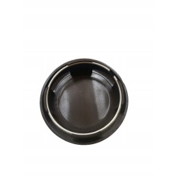 Vairo dangtis ursus c 330 c 360