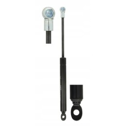 Stogo lango dujinė spyruoklė 8 19h lmax 255 l