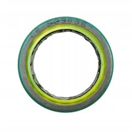 Antspaudas vairo jungties pusėje yra mažas