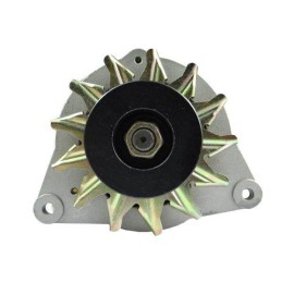 Generatorius su reguliatoriumi, modelis: 14v 44a c