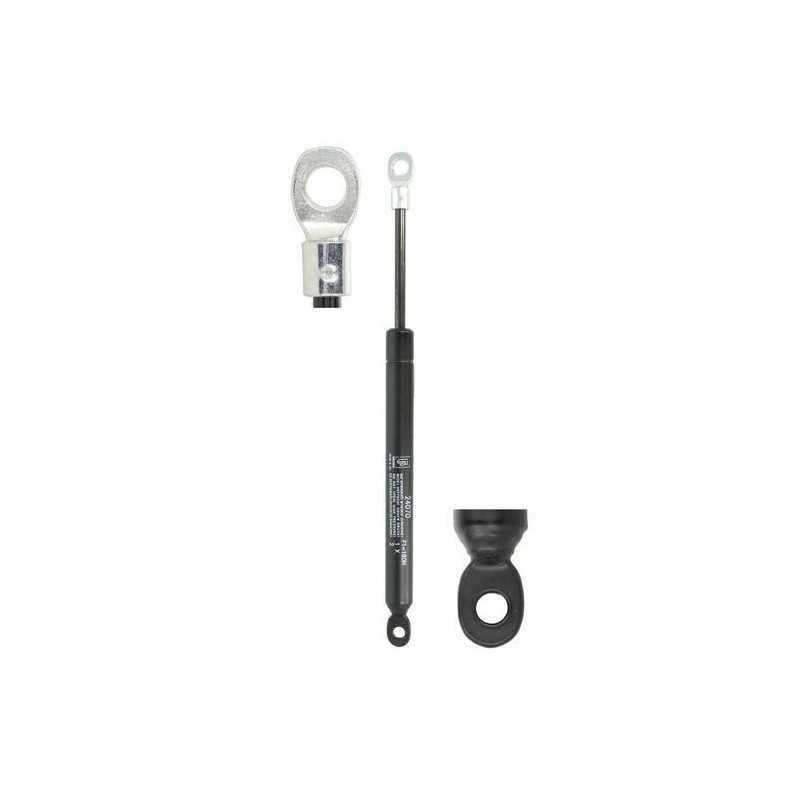 Stogo lango dujinė spyruoklė 6 15h lmax 250 l