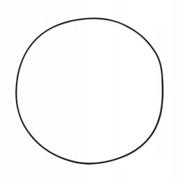 Oring deutz 72712032