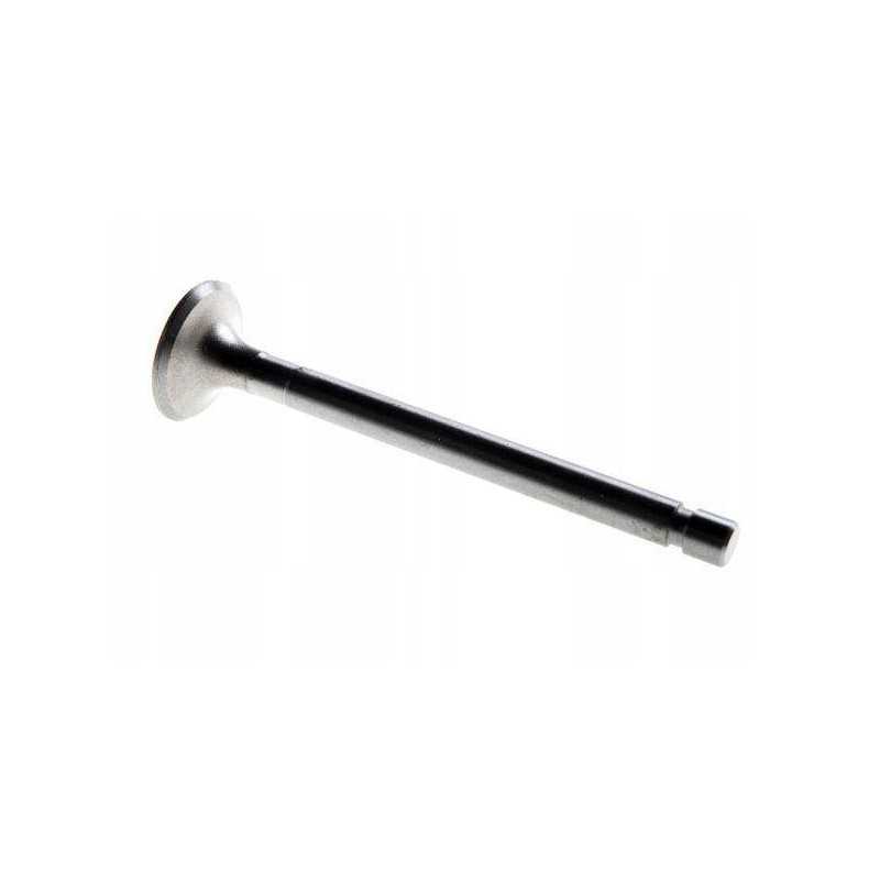 Išmetimo vožtuvas c 360 motogeneric