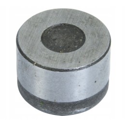 Kardaninio veleno guolis, skersmuo 22 mm