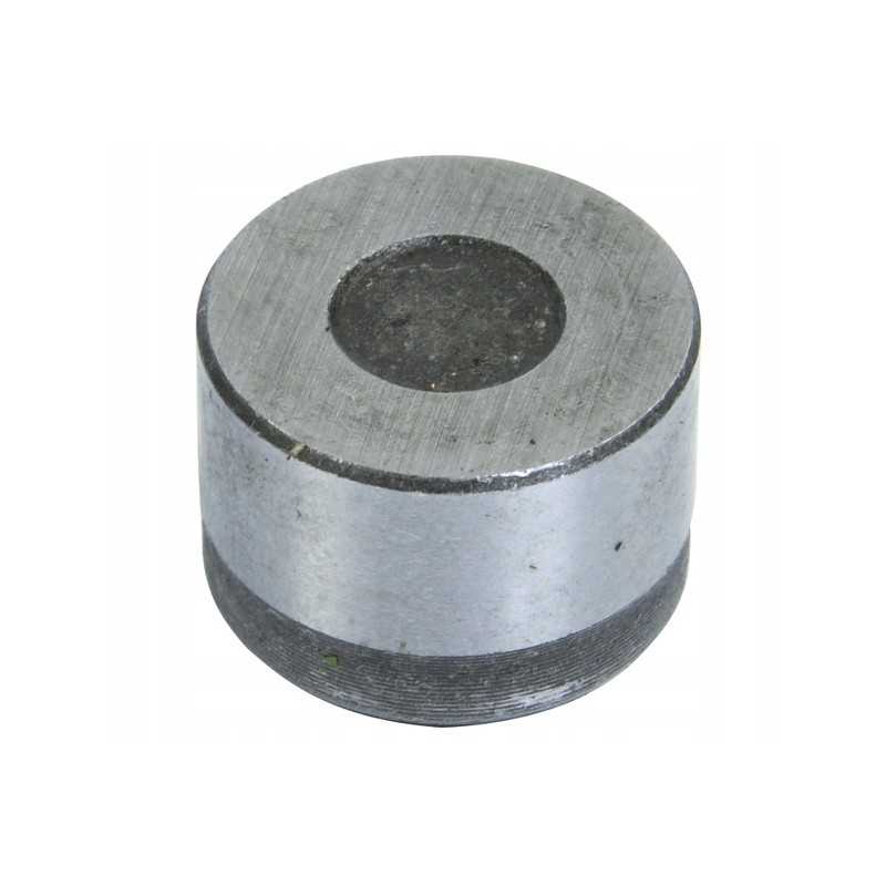 Kardaninio veleno guolis, skersmuo 22 mm